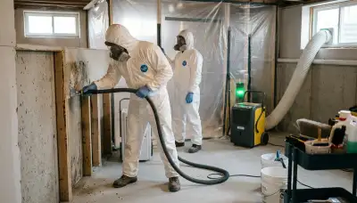 Mold removal inspection for water damage in Lansing, MI home by 24/7 water damage experts